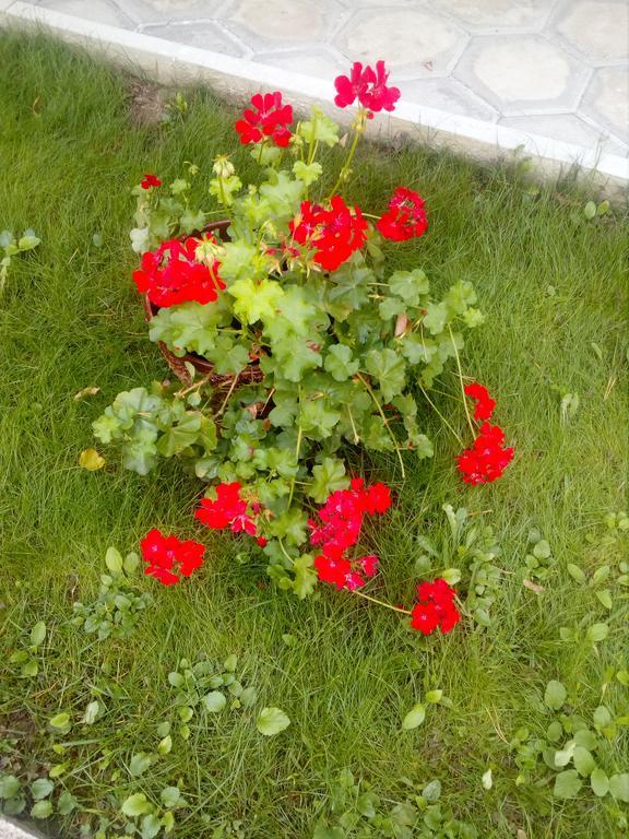 Балнеохотел Роза Strelcha Esterno foto